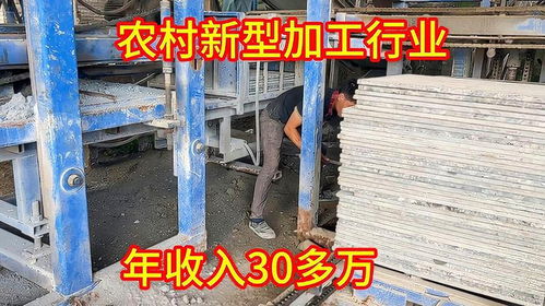 农村新型自动化机械加工行业,全程操控工作8小时,年收入30多万